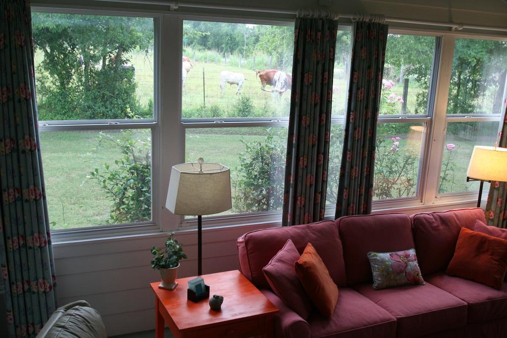 Onion Creek Cottage Austin Eksteriør billede